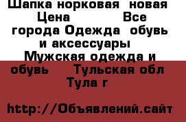 Шапка норковая, новая › Цена ­ 5 000 - Все города Одежда, обувь и аксессуары » Мужская одежда и обувь   . Тульская обл.,Тула г.